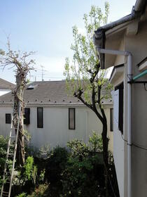 11/16 その他画像