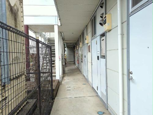 11/24 その他画像