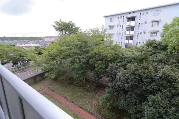 13/17 その他画像