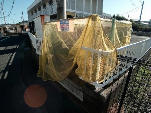 11/16 その他画像