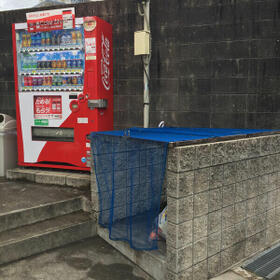 3/16 その他画像