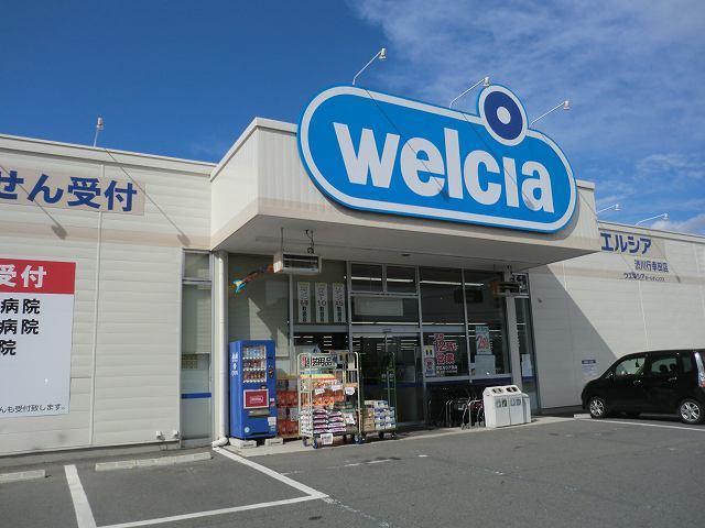 11/14 周辺