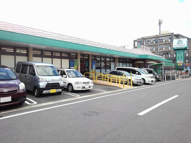 6/9 周辺