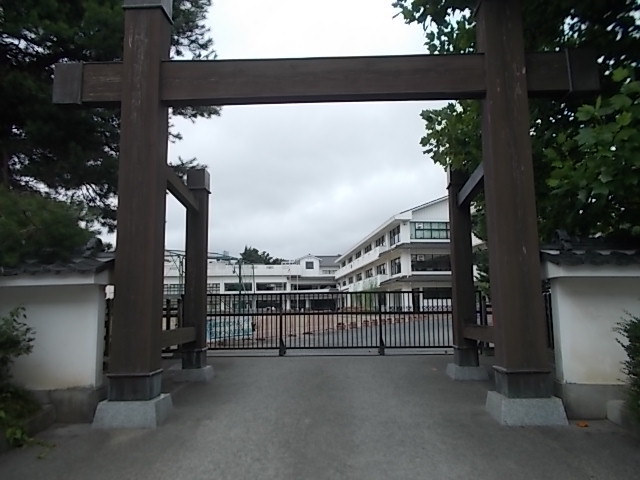 3/7 周辺