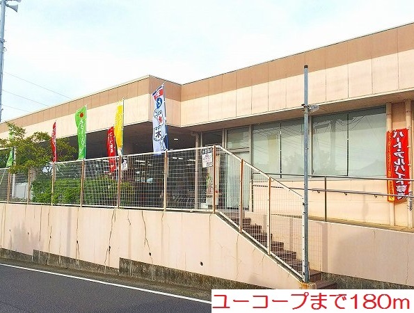4/7 周辺