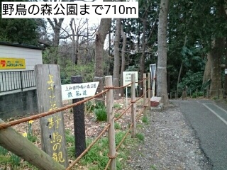 23/23 周辺