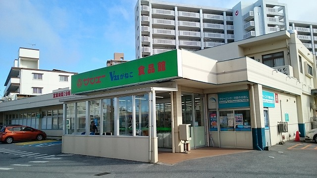 3/6 周辺
