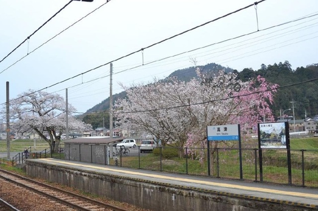 4/9 周辺