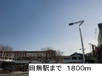 20/20 周辺