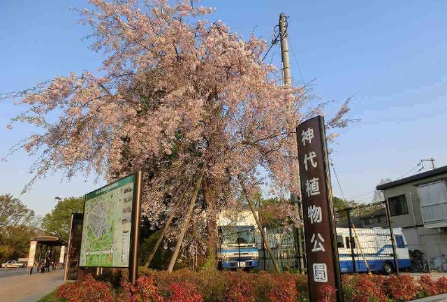 20/20 周辺