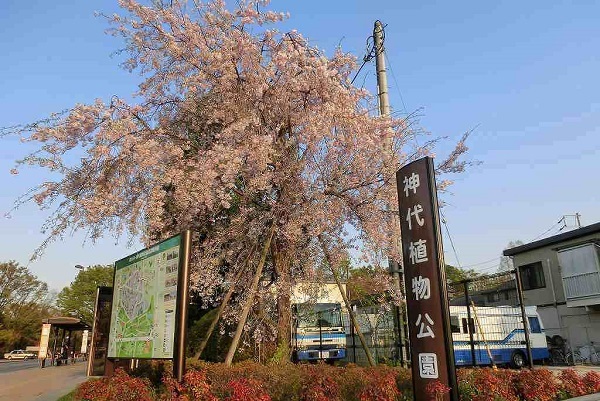 19/20 周辺