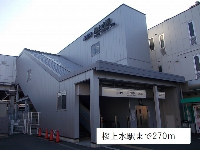 3/10 周辺