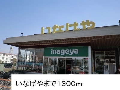 20/20 周辺