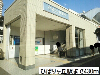 11/16 周辺