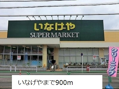 19/19 周辺