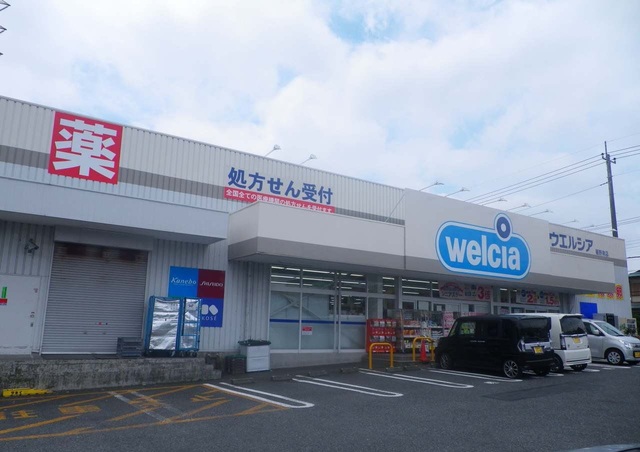2/7 周辺