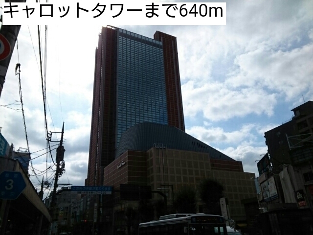 17/20 周辺
