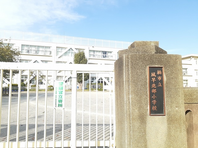 28/28 周辺