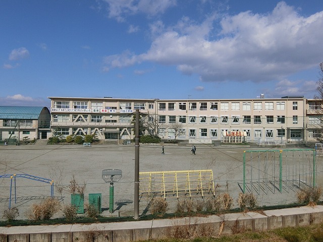3/8 周辺