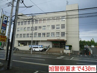 4/7 周辺
