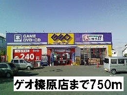 20/20 周辺