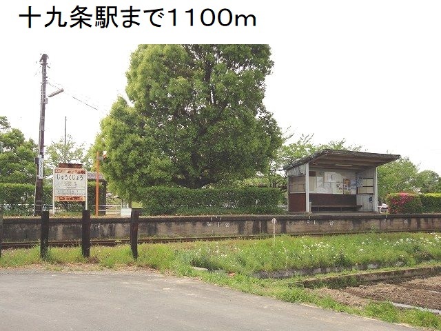 20/20 周辺