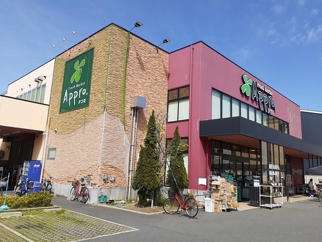 5/8 周辺