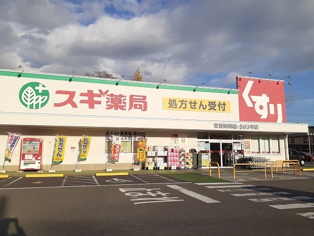 11/13 周辺