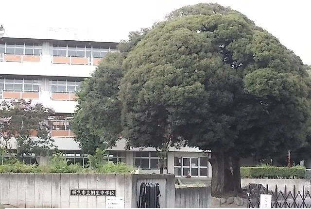 19/20 周辺
