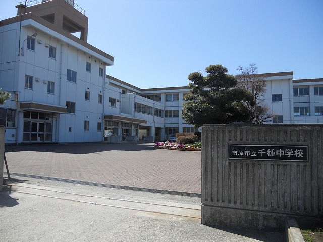 5/9 周辺