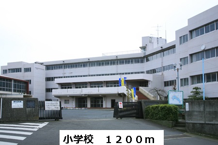 4/8 周辺