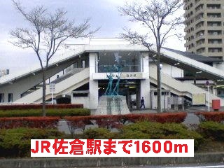 2/11 周辺