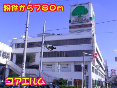 17/24 周辺