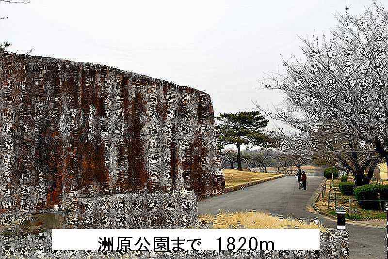 20/20 周辺