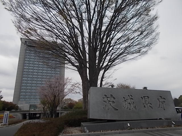 7/7 周辺
