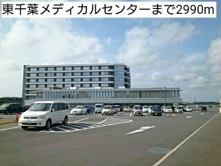 20/20 周辺