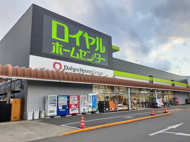 20/20 周辺