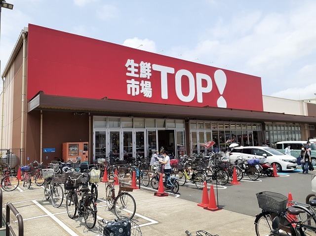20/24 周辺