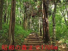 8/8 周辺