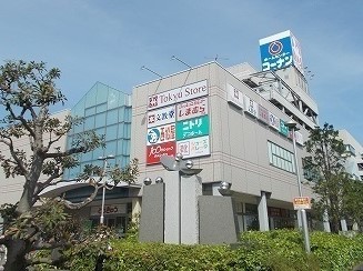4/7 周辺