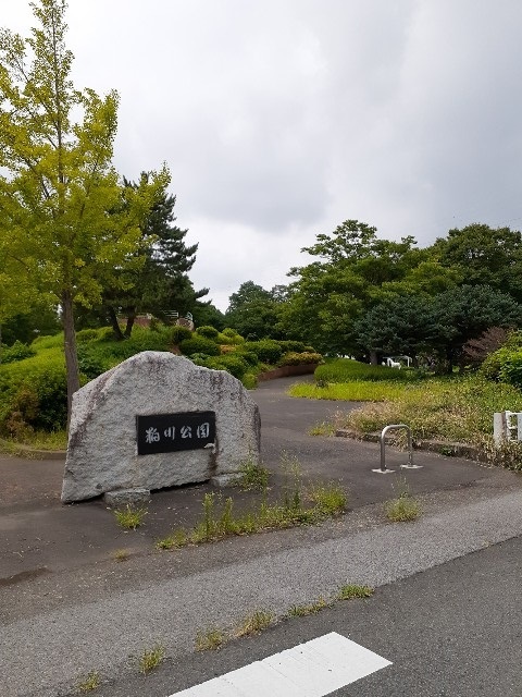 6/7 周辺