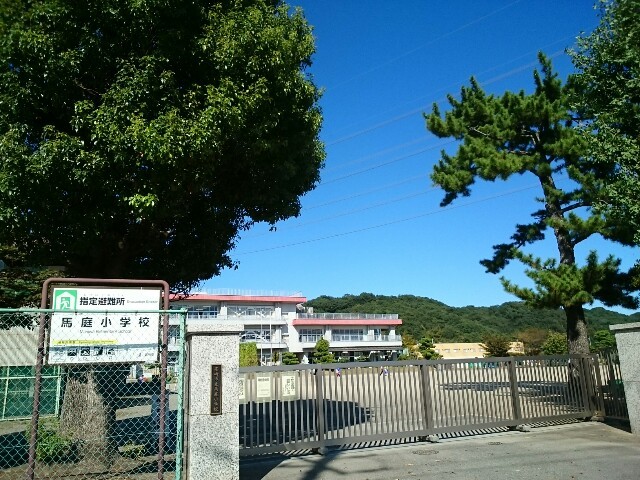 5/8 周辺