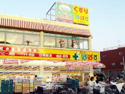 28/28 周辺