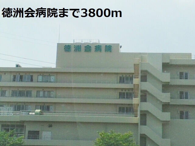 3/8 周辺