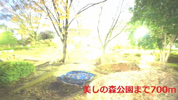 6/8 周辺