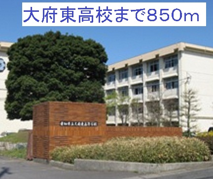 25/29 周辺