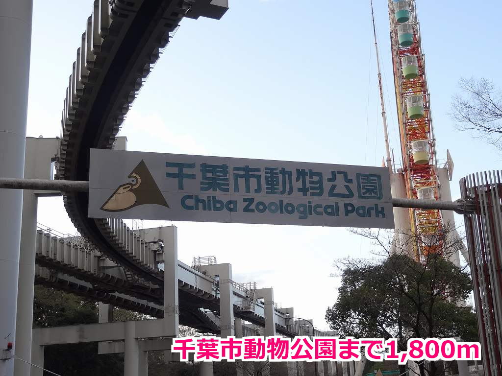 7/8 周辺