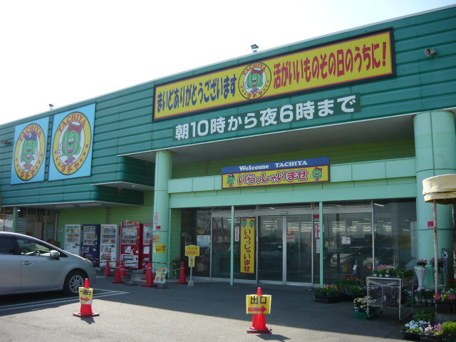 4/10 周辺