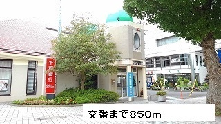 20/20 周辺