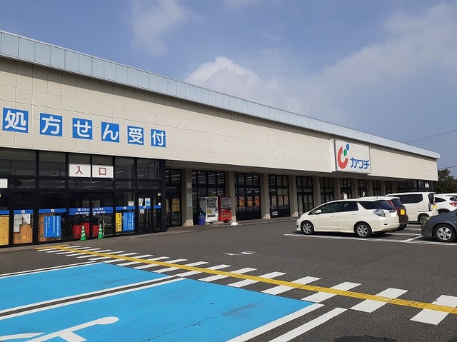 6/8 周辺